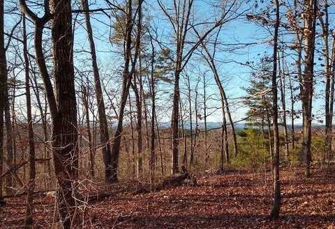 207 Sawyer Lane, Pickens, SC 29671