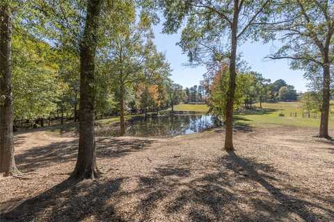 193 Pineland Meadows Road, Belton, SC 29627