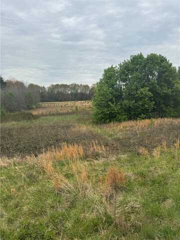 Lot 1 Hwy 17, Piedmont, SC 29673
