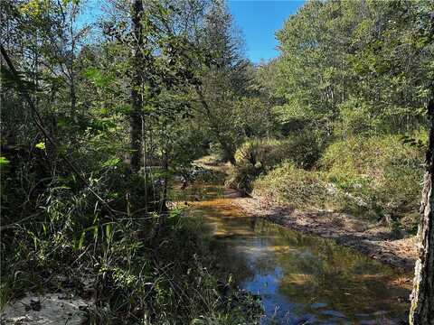 00000 Shallow Ford Road, Salem, SC 29676