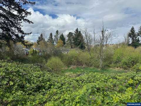 Off Spicetree Ln, Salem, OR 97306