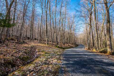 0 Moose Hill Way, Keene, NY 12942