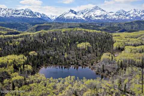 B005 Packsaddle Road, Chickaloon, AK 99674
