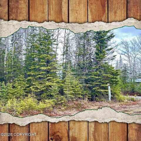 33355 Green Lane, Soldotna, AK 99669