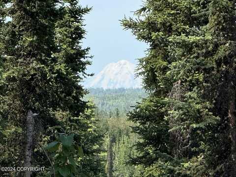 36769 River View Terrace Drive, Soldotna, AK 99669