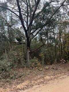 Ebh 4-1a Wendell Lane, Wagener, SC 29164