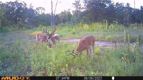 000 HWY 41, Cecil, AR 72930
