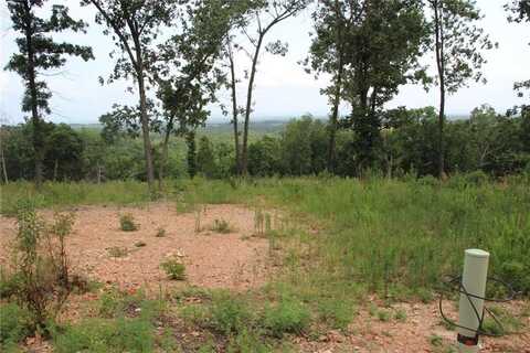 Tract 5 MC 5039, Valley Springs, AR 72682