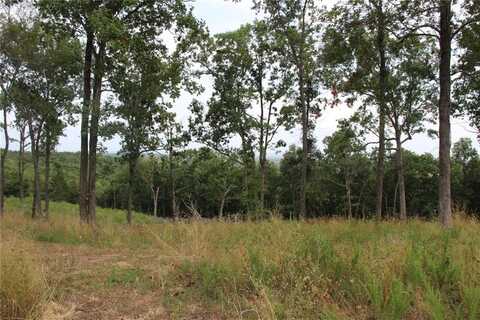 Tract 4 MC 5039, Valley Springs, AR 72682