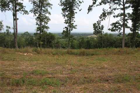 Tract 7 MC 5039, Valley Springs, AR 72682