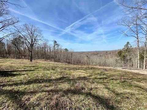 Tract 5 Ramblewood TR, Yellville, AR 72687