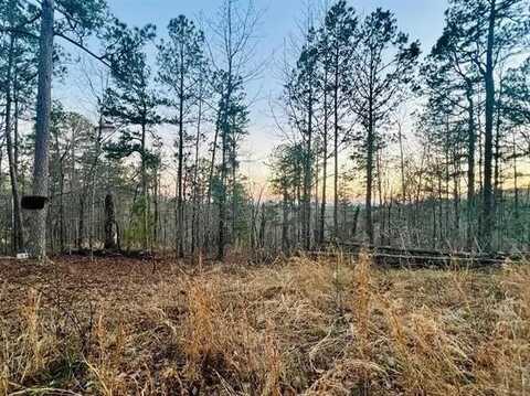 Tract 6 Ramblewood TR, Yellville, AR 72687