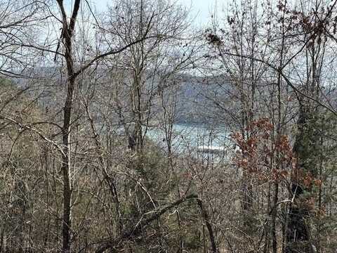 101 Amity WY, Eureka Springs, AR 72632