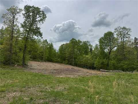 TBD NC 3050, Jasper, AR 72641