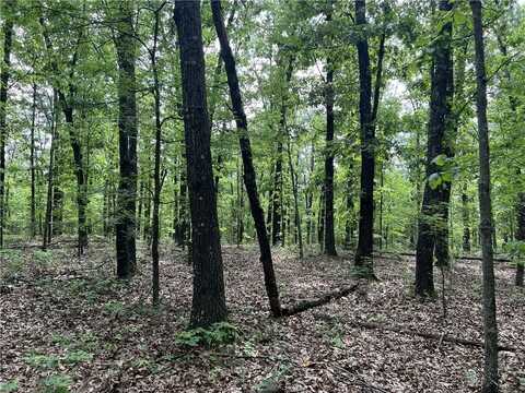 21.58 Acres on Meadow Creek DR, Harrison, AR 72601