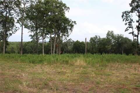 Tract 3 MC 5039, Valley Springs, AR 72682