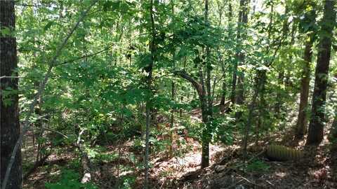 237 Bay View Drive, Salem, SC 29676