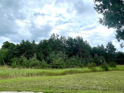 1.6 Acres Woodward Avenue, Elmira, MI 49730