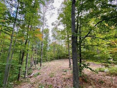 15100 & 15 Rue Du Chevreuil lot: 74, 75, 76, Wolverine, MI 49799