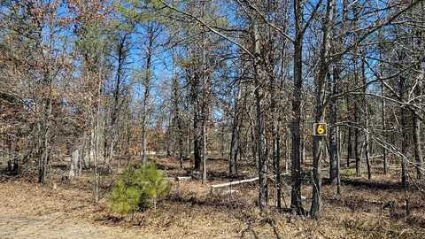 6 Lumberjack Court, Grayling, MI 49738