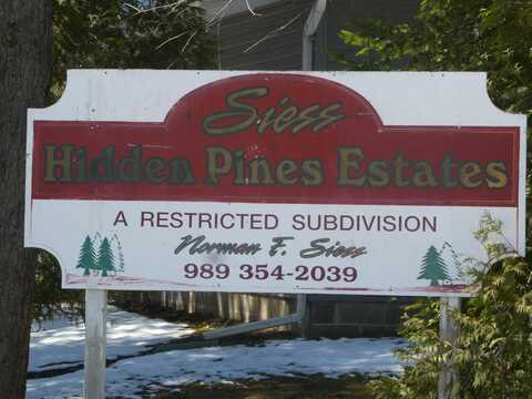 2991 Noralin Drive, Alpena, MI 49707