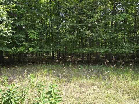 33 Mt. Vernon Hills Road, Vanderbilt, MI 49795