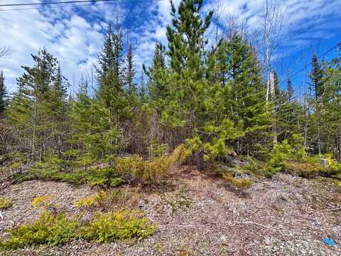 Lot 116 W Norwood Court, Presque Isle, MI 49777