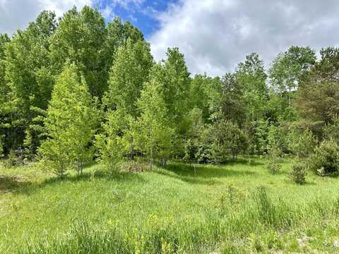 Lot 63&64 Golfview, Gaylord, MI 49735