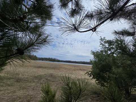 Off McCollum Lake Road, Curran, MI 48728