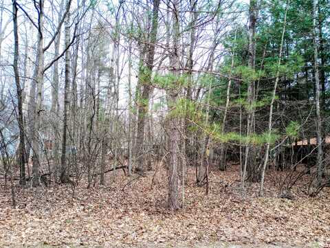 Lot #424 Pepperell Avenue, Houghton Lake, MI 48629