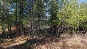 Beach Hwy, Ocqueoc, MI 49759