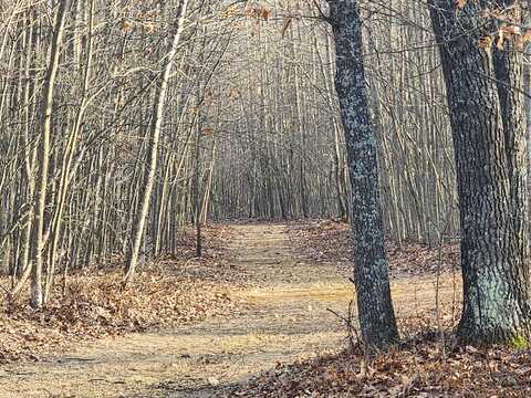 00 E Kirche in the Woods Drive, Spruce, MI 48762