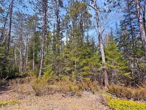 Lot 47 Firhaven Court, Presque Isle, MI 49777