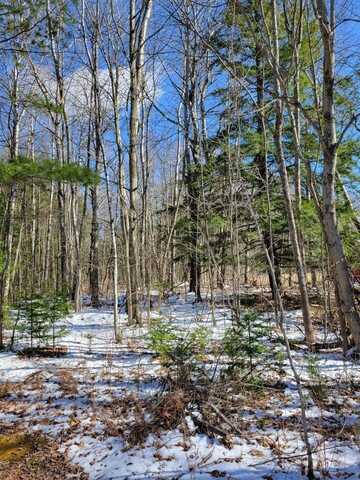Lot 12 S Wildwood Trail, Glennie, MI 48737