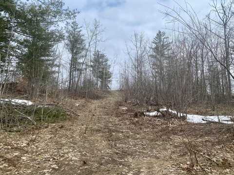 7.6 Acres Trails End, Gaylord, MI 49735
