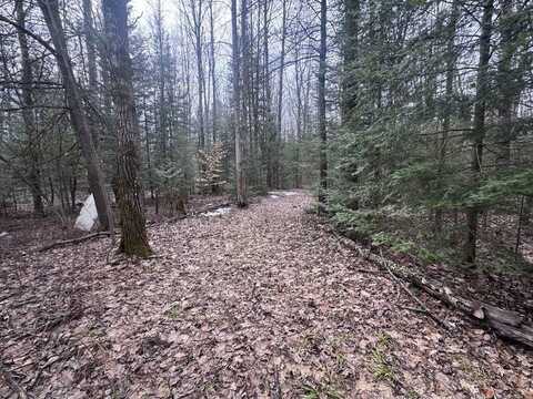 16651 County Rd. 628, Hillman, MI 49746