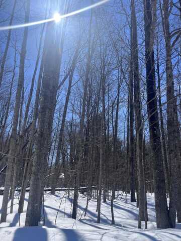 Lot 66 Montrose Drive, Mancelona, MI 49659