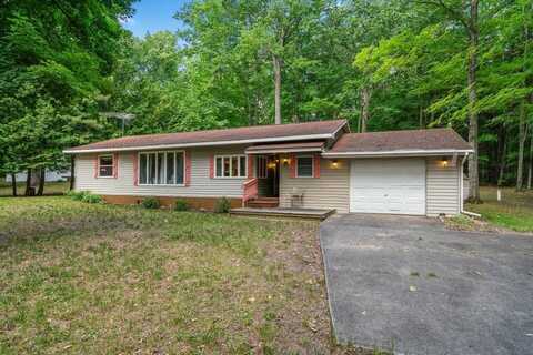 3310 Cedar Lane, Indian River, MI 49749
