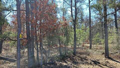 8 Lumberjack Court, Grayling, MI 49738
