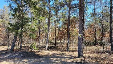 9 Lumberjack Court, Grayling, MI 49738