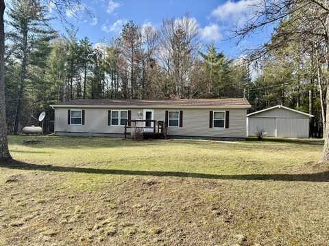 10525 Alpenhof Drive, Grayling, MI 49738