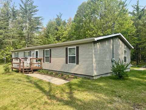 10525 Alpenhof Drive, Grayling, MI 49738