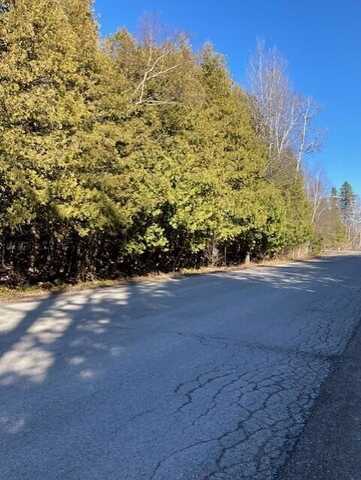 N Cedar Street, Rogers City, MI 49779