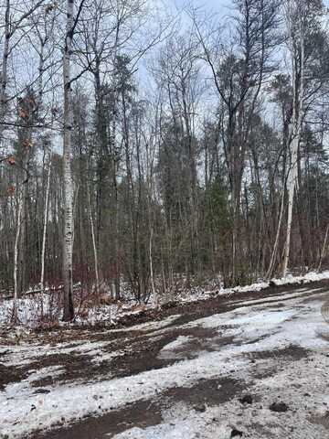 106 Wabeek Court, Alpena, MI 49707