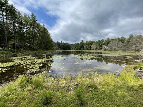 Shiawassee Trail, Gaylord, MI 49735