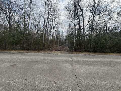 16393 Bay Heights Drive, Presque Isle, MI 49777