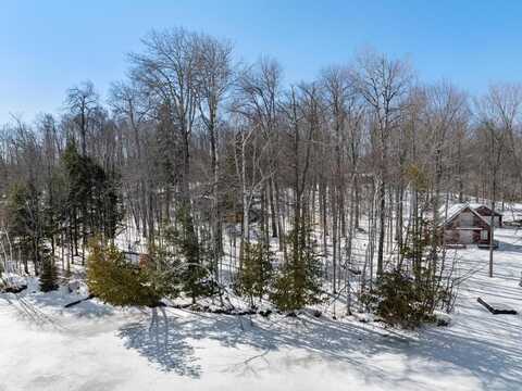 10448 W Munro Lake Drive, Levering, MI 49755