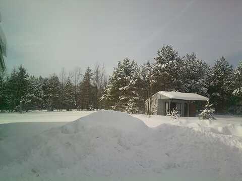 15820 Harlan Road, Copemish, MI 49625