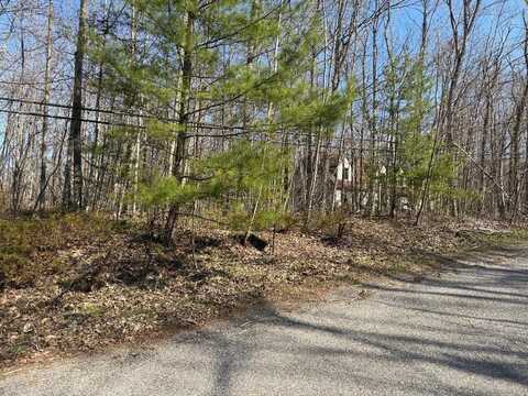 14222 Straitsview Drive, Cheboygan, MI 49721