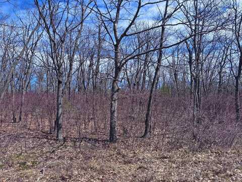 Lot 5 Highland Pines Road, Presque Isle, MI 49777